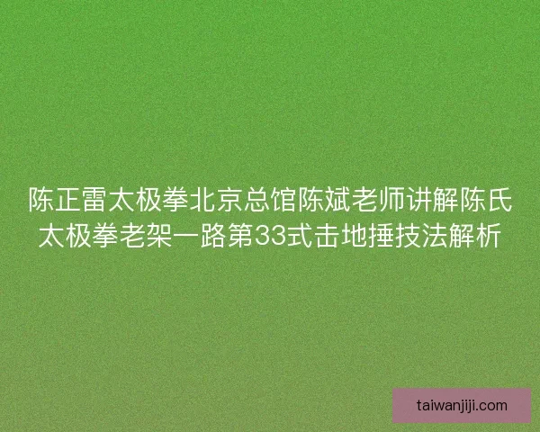 陈正雷太极拳北京总馆陈斌老师讲解陈氏太极拳老架一路第33式击地捶技法解析